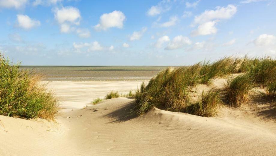 Studio Hof Ter Zee Apartment Oostende Ngoại thất bức ảnh